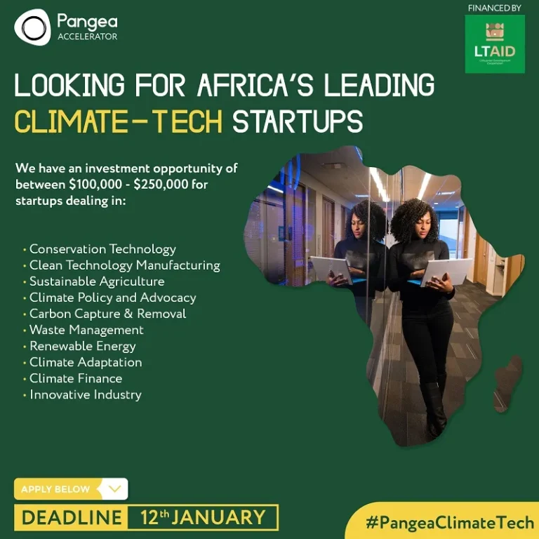 Kenyan Startups Set for Success with Sh40M Climate Funding Program