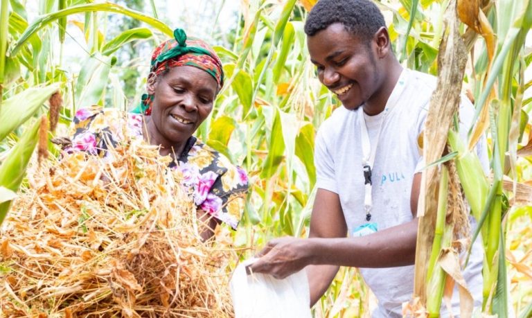 Kenyan InsurTech Startup Pula Secures $20 Million to Expand Insurance for African Farmers