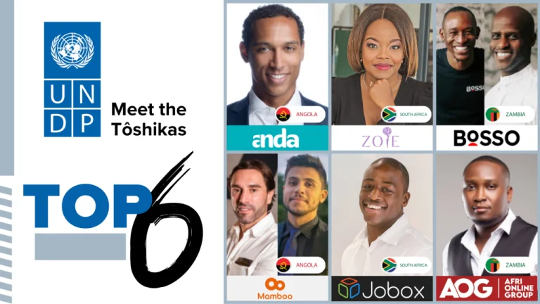  UNDP unveils 6 finalists for its Meet the Tôshikas investment programme