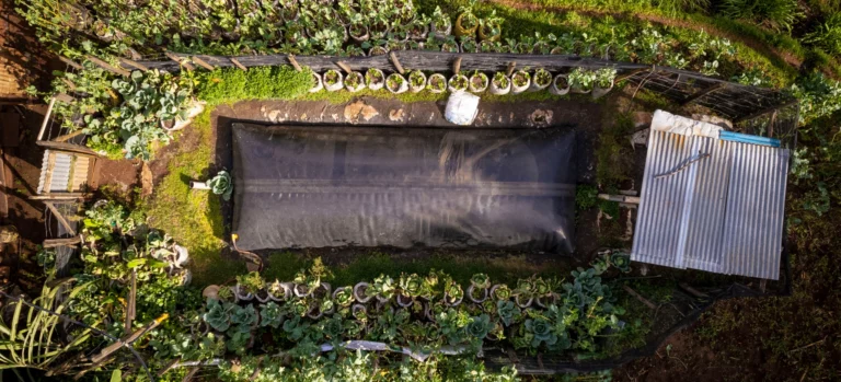 Sistema.bio Raises $3.5M From Novastar Ventures to Accelerate its Expansion Into New African Markets