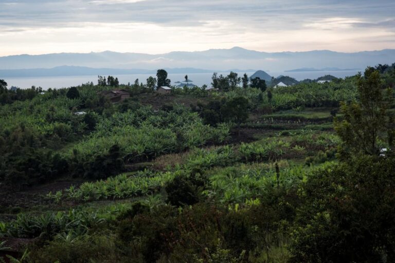 One Acre Ventures Backs Enimiro to Scale Inclusive Agribusiness in Uganda