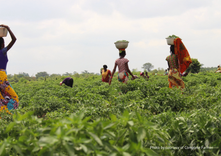 Ghana’s Complete Farmer Raises $5 Million to Drive Innovation & Productivity