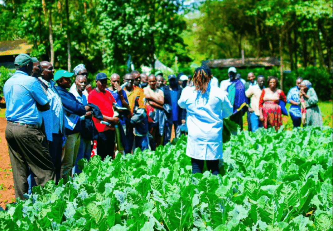 Kenya Agritech Firm GrowPact Sold to Dutch Investors