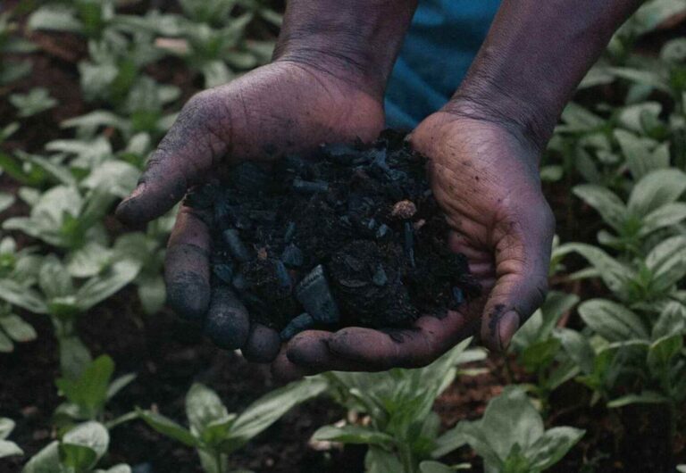 Katapult Africa Opens 2026 Accelerator Applications with Up to $500,000 for African Startups