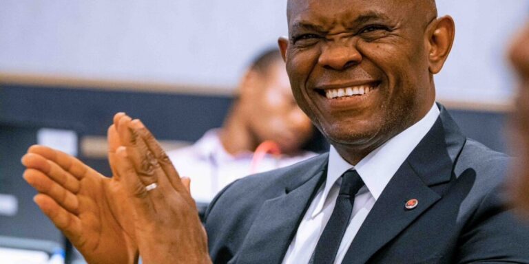 Tony Elumelu: The Billionaire Philanthropist Betting $100m on Africa’s Start-ups